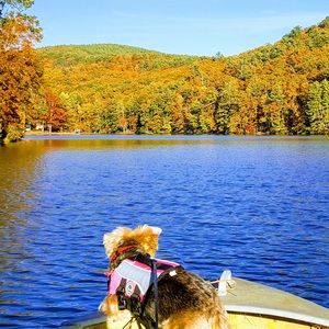 Meet your Posher, Jeanne